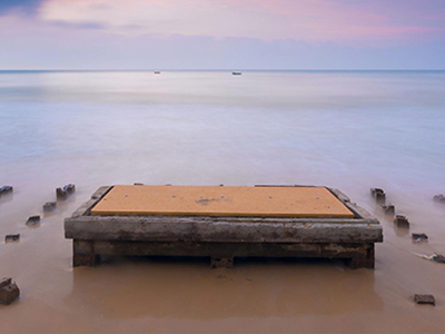 早期臨床項目總監   陳方嚴